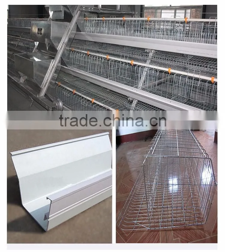 30 Years' factory supply automatic chicken nest