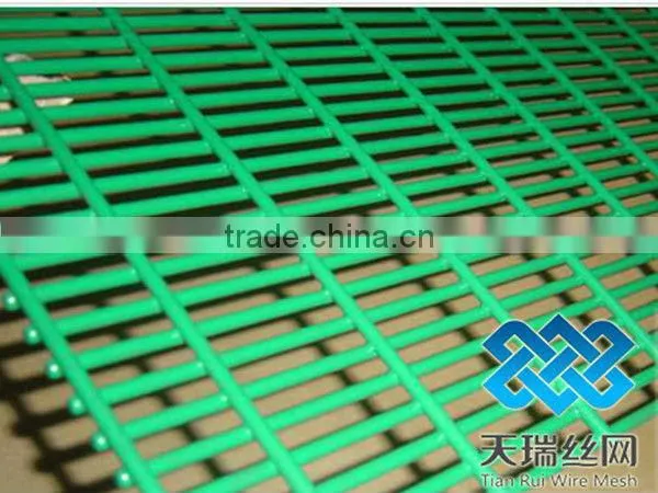 50x50mm opening galvanized Welded Wire Mesh