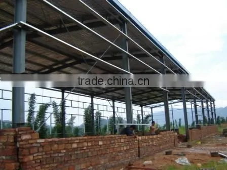 Low cost steel structure cattle /cow house