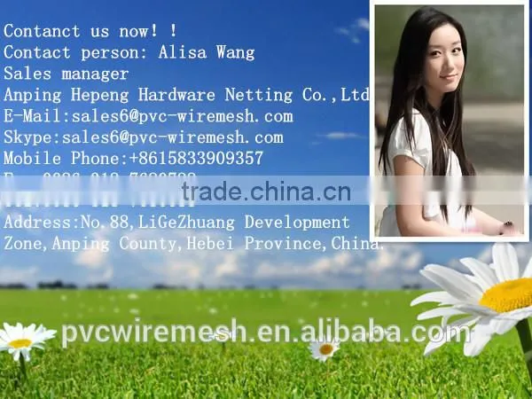 Anping hepeng swiming pool fence