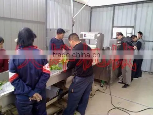 Guangxi Y. L. Vegetable Processing Factory
