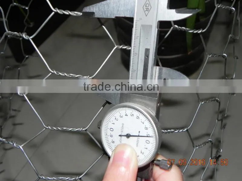 Hot dipped galvanized chicken coop hexagonal wire mesh factory price