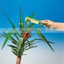 plastic plant brosse cleaning the leaf
