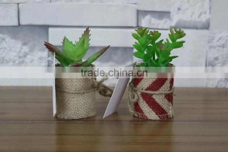 plastic mini succulent plants arrangement in pot