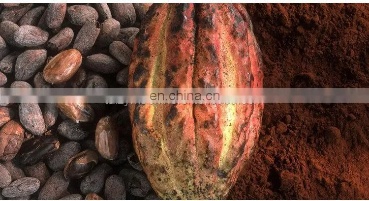 stainless steel roasted cacao cocoa beans peeling shell shelling machine