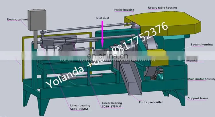 Shanghai Genyond pineapple processing peeling machine