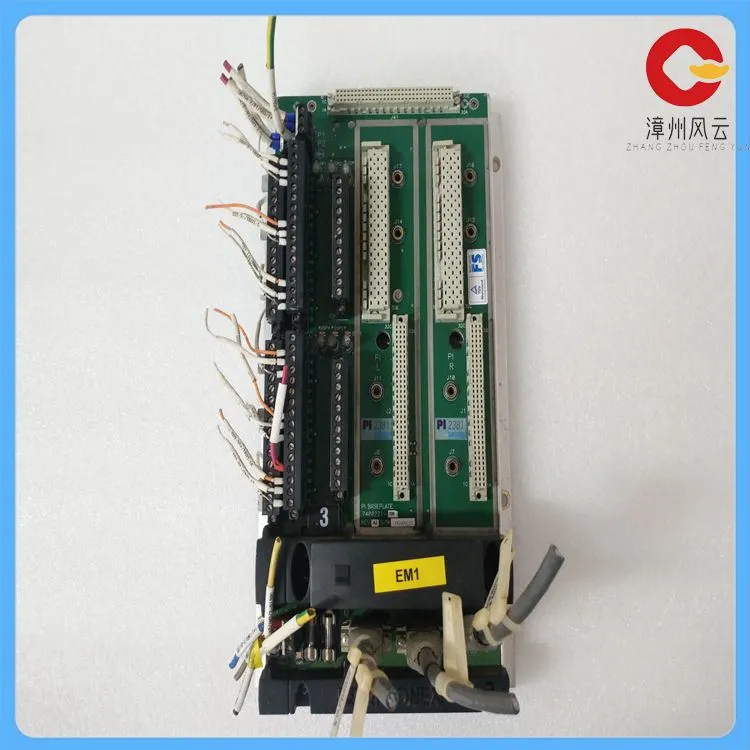 TRICONEX 2381 (1)