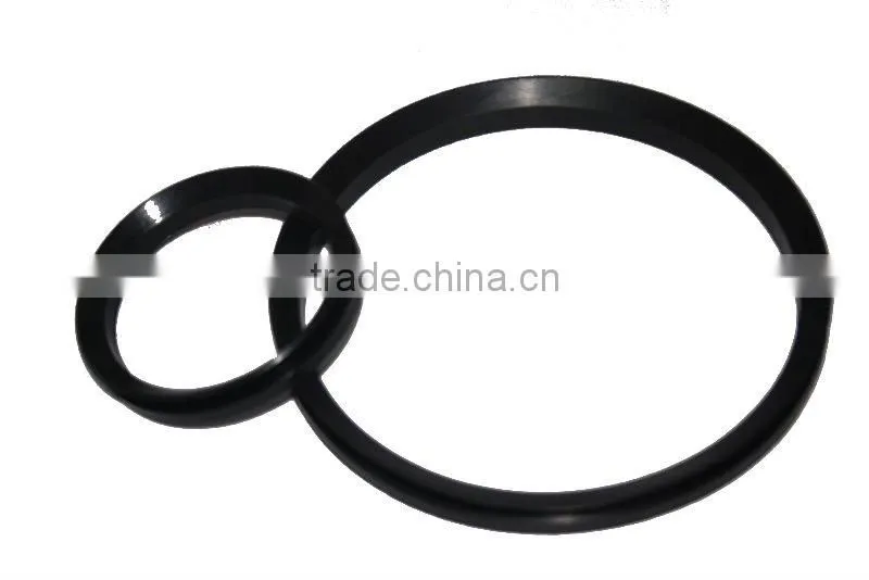 hydraulic gasket seal