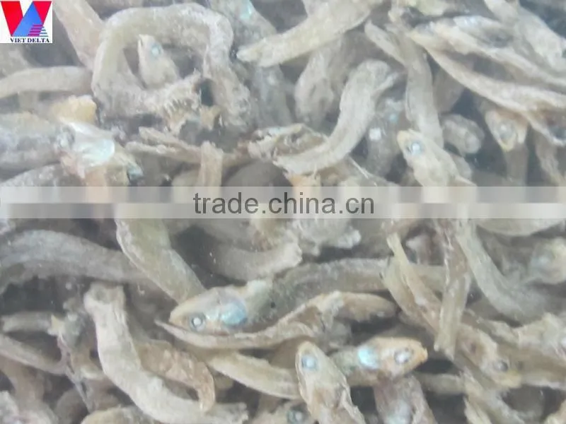 Dried Anchovy Fish Vietnam premium quality