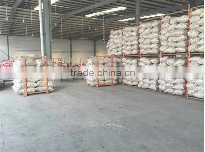 chinese garlic