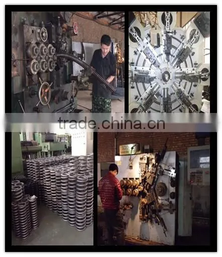 Strict quality Spring OEM auto parts spring
