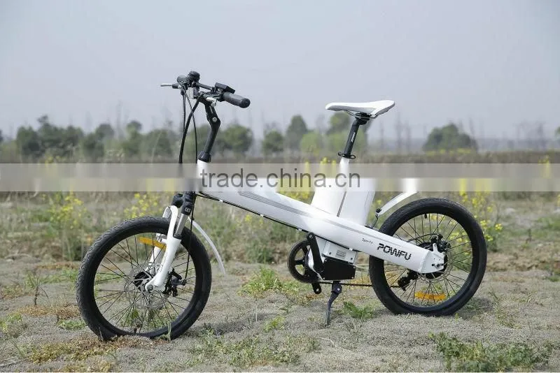 Small city e bike 2014 new design brushless motor wheel e bike