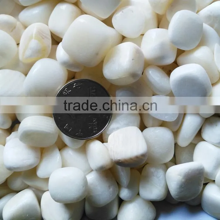 wholesale Price Tumbled Tridacna Stone