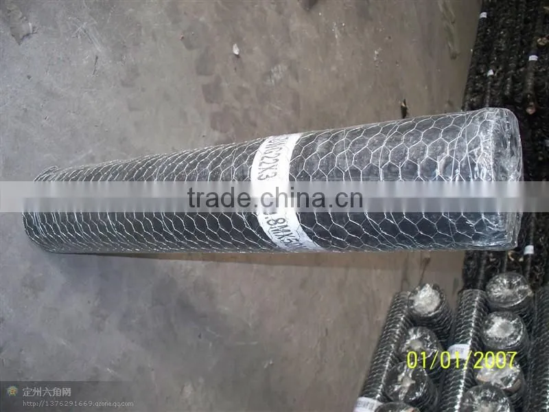 Hexagonal wire net made in China alibaba express