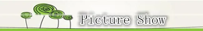 Factory direct cash #BY7509 black nylon eyelash fabric for wedding dresses