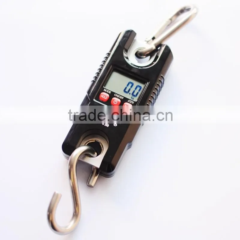 WH-C300 300kg/100g electronic crane digital weighing scale