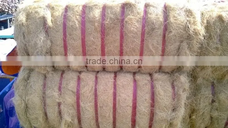 Coconut Fiber High quality (qq : 2598494113)