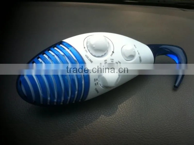 Protective AM FM Shower Radio