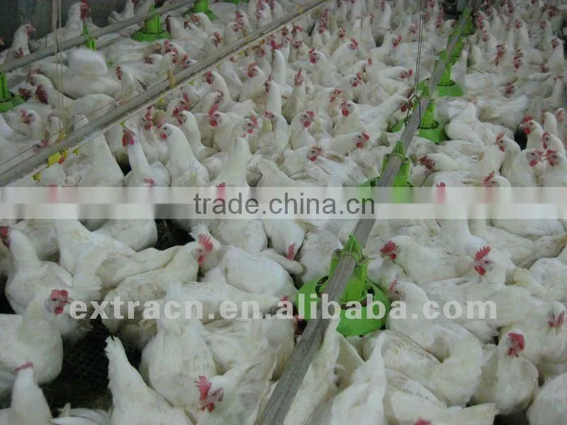 Breeder pan feeding system