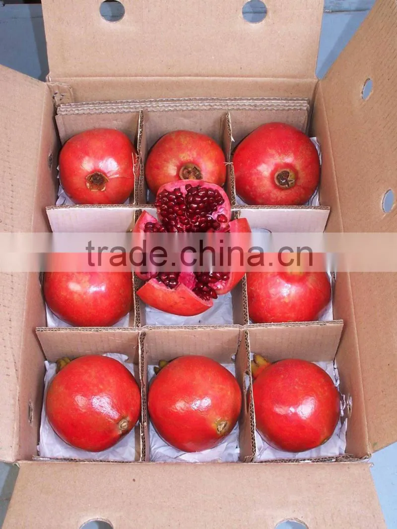 Fresh Pomegranate Fruit Supplier in India / Malaysia / Singapore / Dubai / Maldives / Sri Lanka