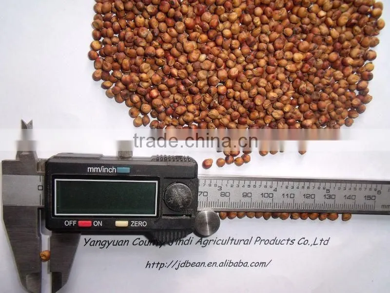 glutinous sweet red Sorghum with high starch