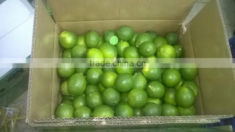 FRESH LEMON & FRESH LIME BEST price