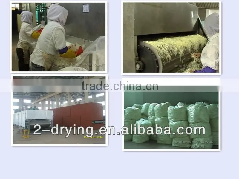 Vegetable drier-ZL 99 2 29732. X.