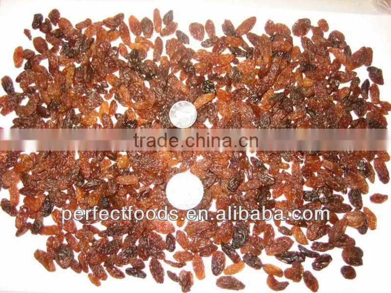 dried fruit raisin sultana