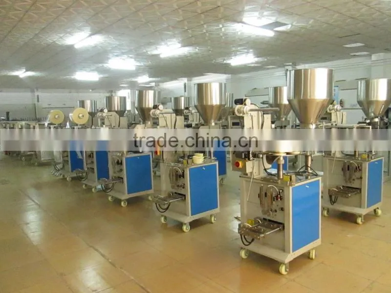 2015 Granule Packing Machine Packing Machine for Plastic Bags