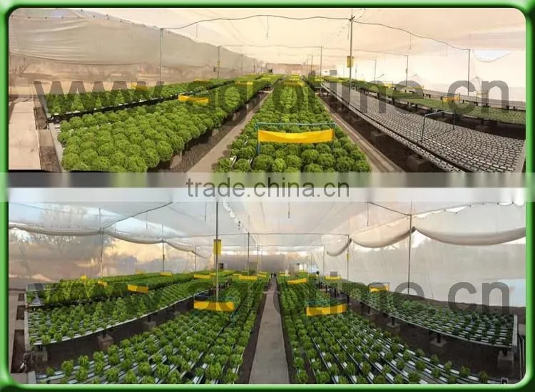 Indoor hydropon growing system for greenhouse/hydroponic system/Agrotime Advanced nft hydroponic systems for sale/aquaponic syst