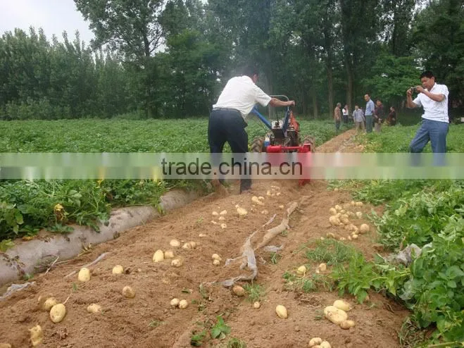 fine quality potato harvester powered by walking tractor