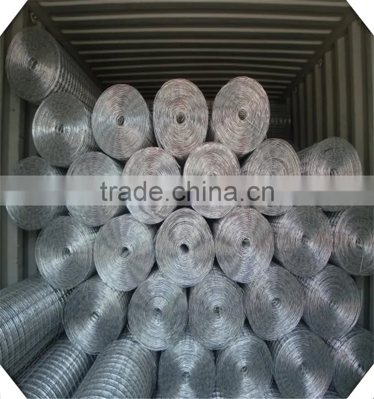 China Wholesale Professional Manufacture Galvanized Welded Wire Mesh/pvc coated/stainless steel welded Wire Mesh
