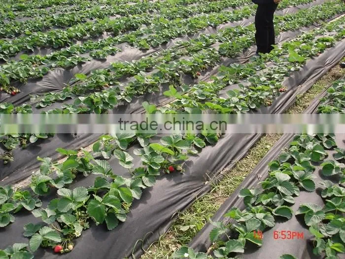 Wholesale 20-320cm Width Recyclable Landscape Fabric Agriculture Cover