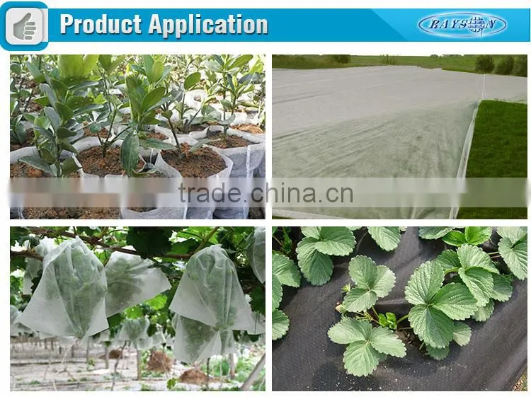 2015 BEST SELLING NONWOVEN CROP COVER IN 100% POLYPROPYLENE