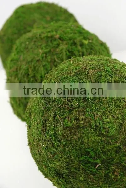 Handicraft Moss Ball