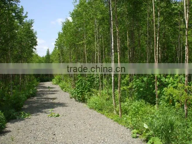 Niseko Resort Land for Sale , real estate , ski resort