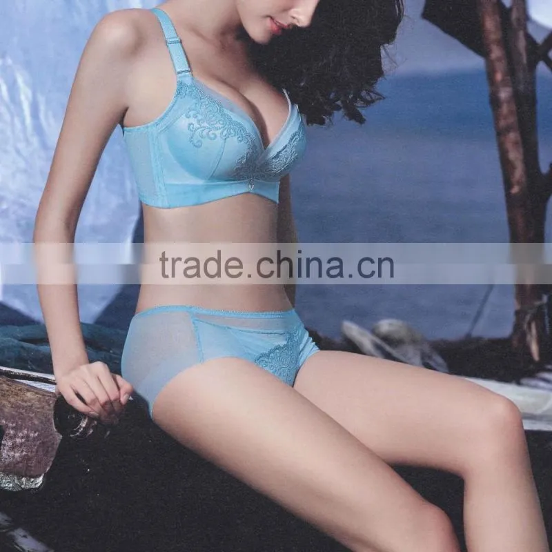New Design High Quality Ladies Sexy Net Bra Sets Sexy Bra Panty Set