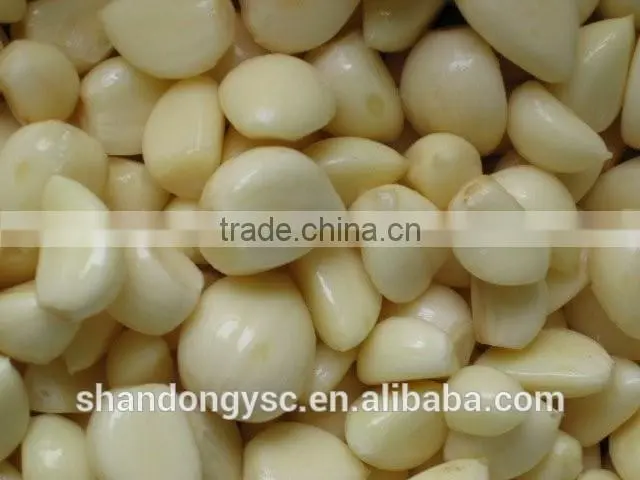 Jinxiang peeled garlic China cheap peeled garlic for sale new crop garlic