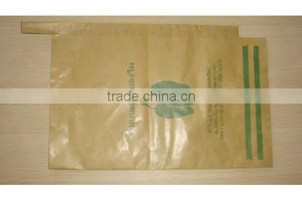 Mango fruit growing paper bag