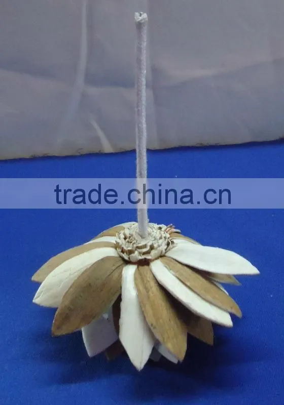 sola flower