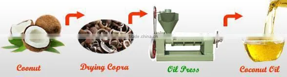 screw copra oil expeller equipment