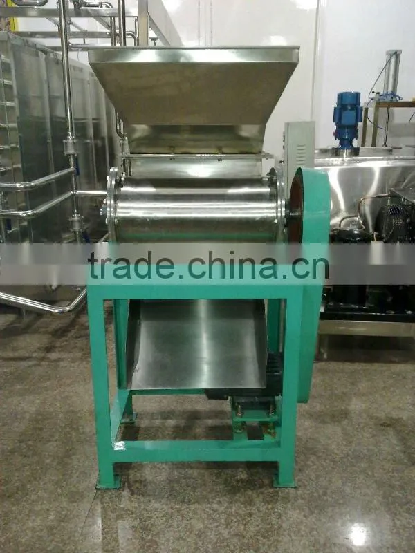 professional juice extractor