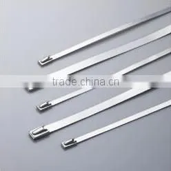 Stainless Steel Tie (ladder type ) 12*200
