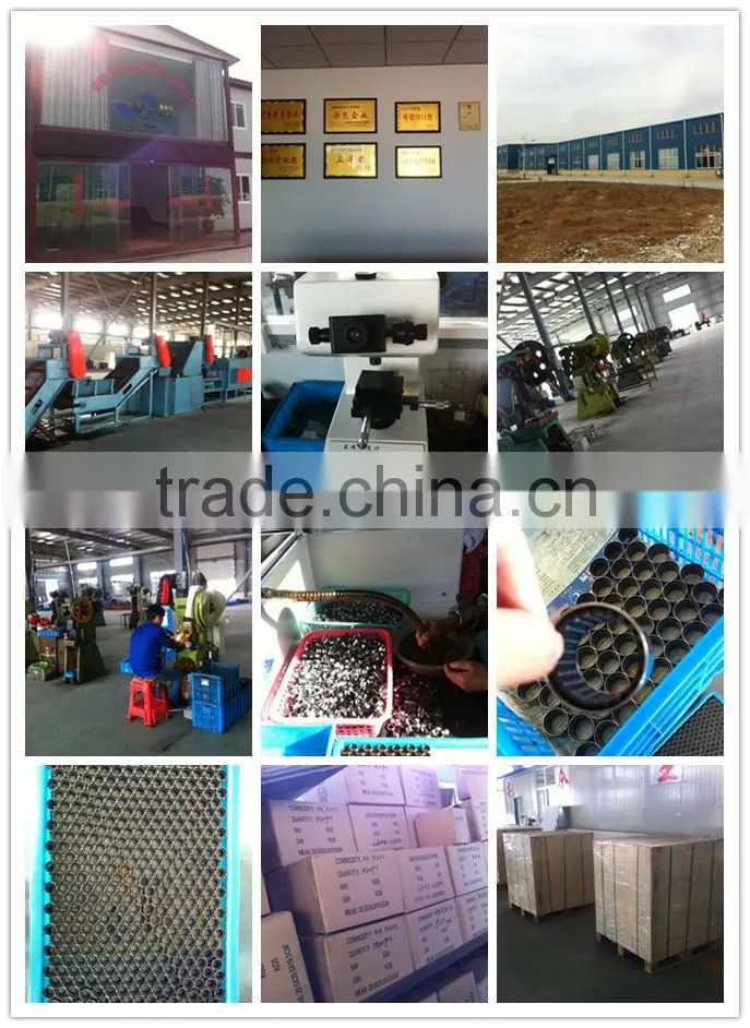 NJ214ECP cylindrical roller bearing china Factory roller bearing dimensions