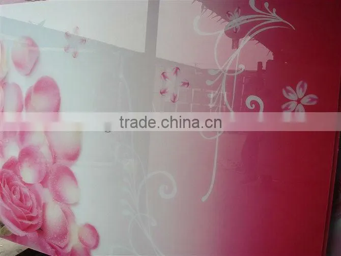 4.8MM tempered glass