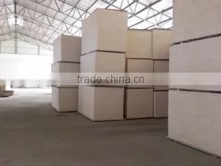 Linyi Xinnuo Imp. & Exp. Co., Ltd. company overview - view 3