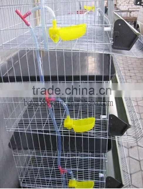 galvanized quail cage with automatic system