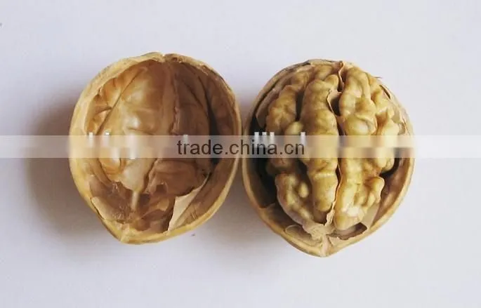 Supply with Chinese Whole Walnuts in Thin Shell with Different Sizes for Sales