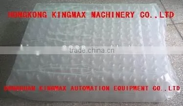 automatic edible oil bottle packing machine