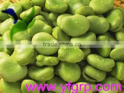 Dried Broad Beans